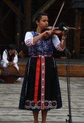 viha celostatka 2022