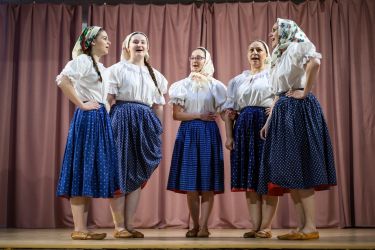 54550103652 bf847d20cb k